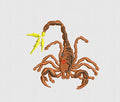 Scorpion Embroidery Design