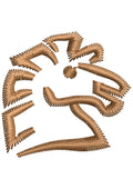 Horse Baby Embroidery Design