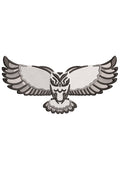 Flying Owl Embroidery Design