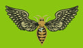 Stylized Bee Embroidery Design