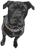 Black Dog Embroidery Design