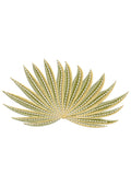 Aloe Vera Embroidery Design