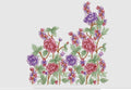 Flower Embroidery Design