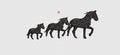 Horse Embroidery Design