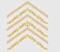 Flower Embroidery Design