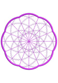 Lace Embroidery Design