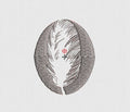 Wing Embroidery Design
