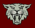 Stylized White Tiger Embroidery Design