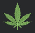 Emerald Serrated Leaf Embroidery Design