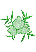 Stipple Embroidery Design