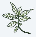 Leaf Embroidery Design