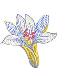 Chandar Mukhi Embroidery Design