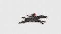 Horse Embroidery Design