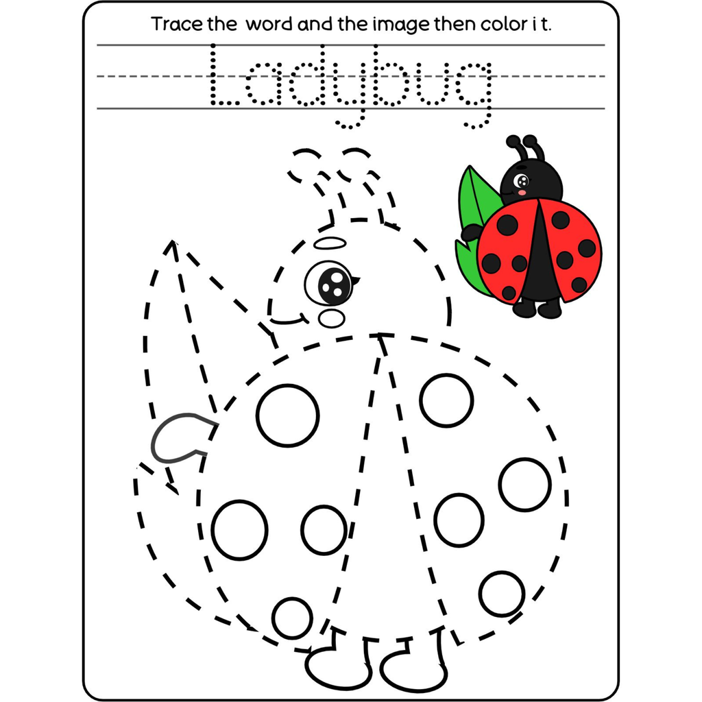 Trace Word and Picture Worksheets for Kids
